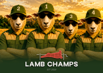 Lamb Champs